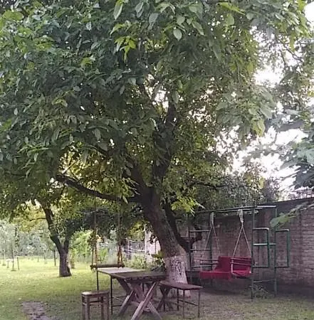 Danguba Biblioteka * Nova Pazova