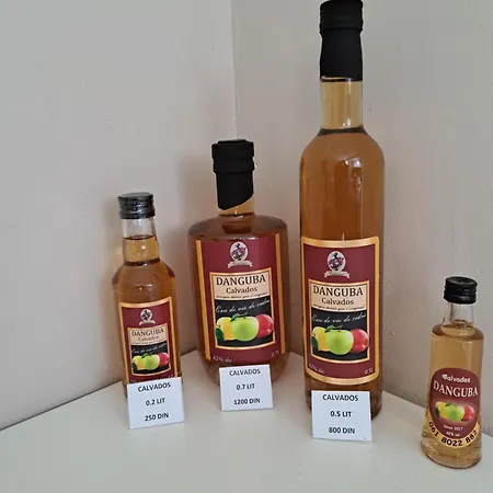 Danguba Biblioteka * Nova Pazova